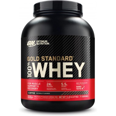 Optimum Nutrition Whey Gold Standard 2270 грам, сироватковий протеїн