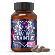 OstroVit Braintus Focus 90 caps