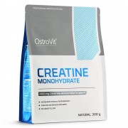 OstroVit Creatine Monohydrate 300 g Чистый, без вкуса