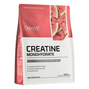 OstroVit Creatine Monohydrate 300 g Арбуз